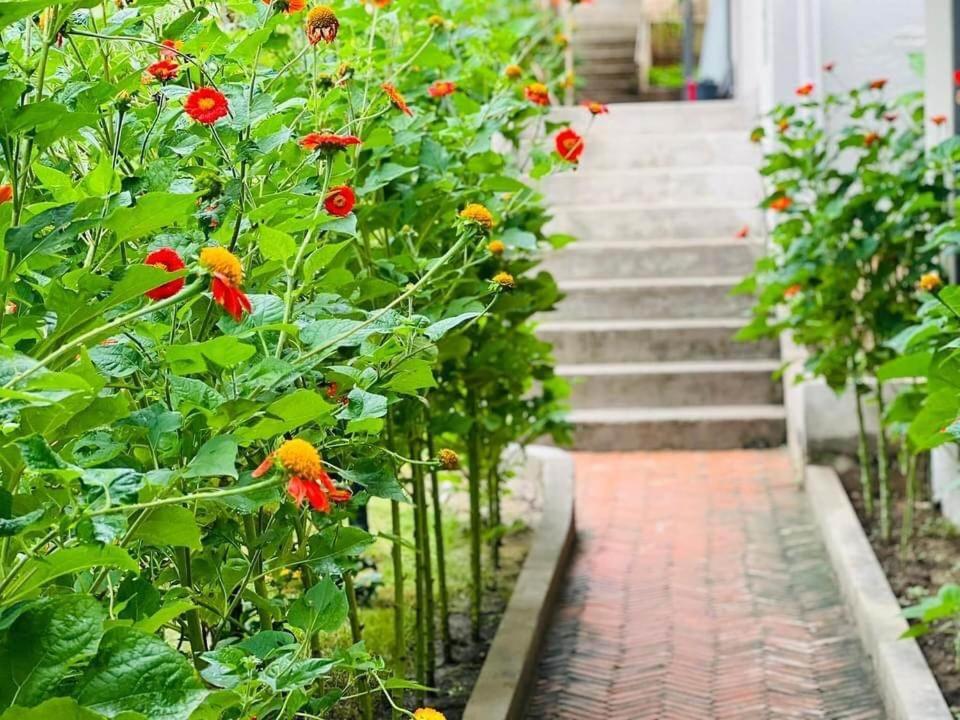 Golden Lotus Spa & Homestay Ap Thien Phuoc Eksteriør billede