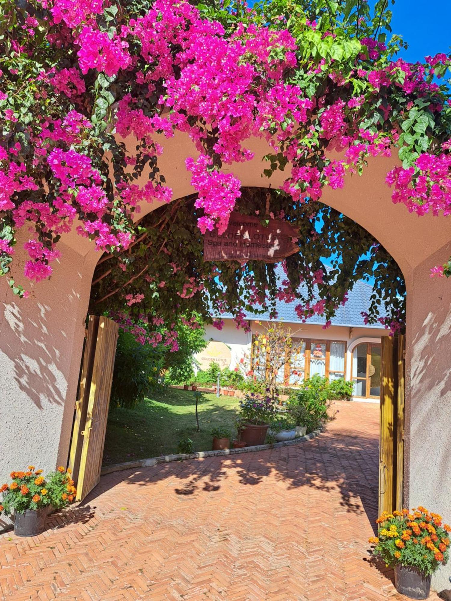 Golden Lotus Spa & Homestay Ap Thien Phuoc Eksteriør billede
