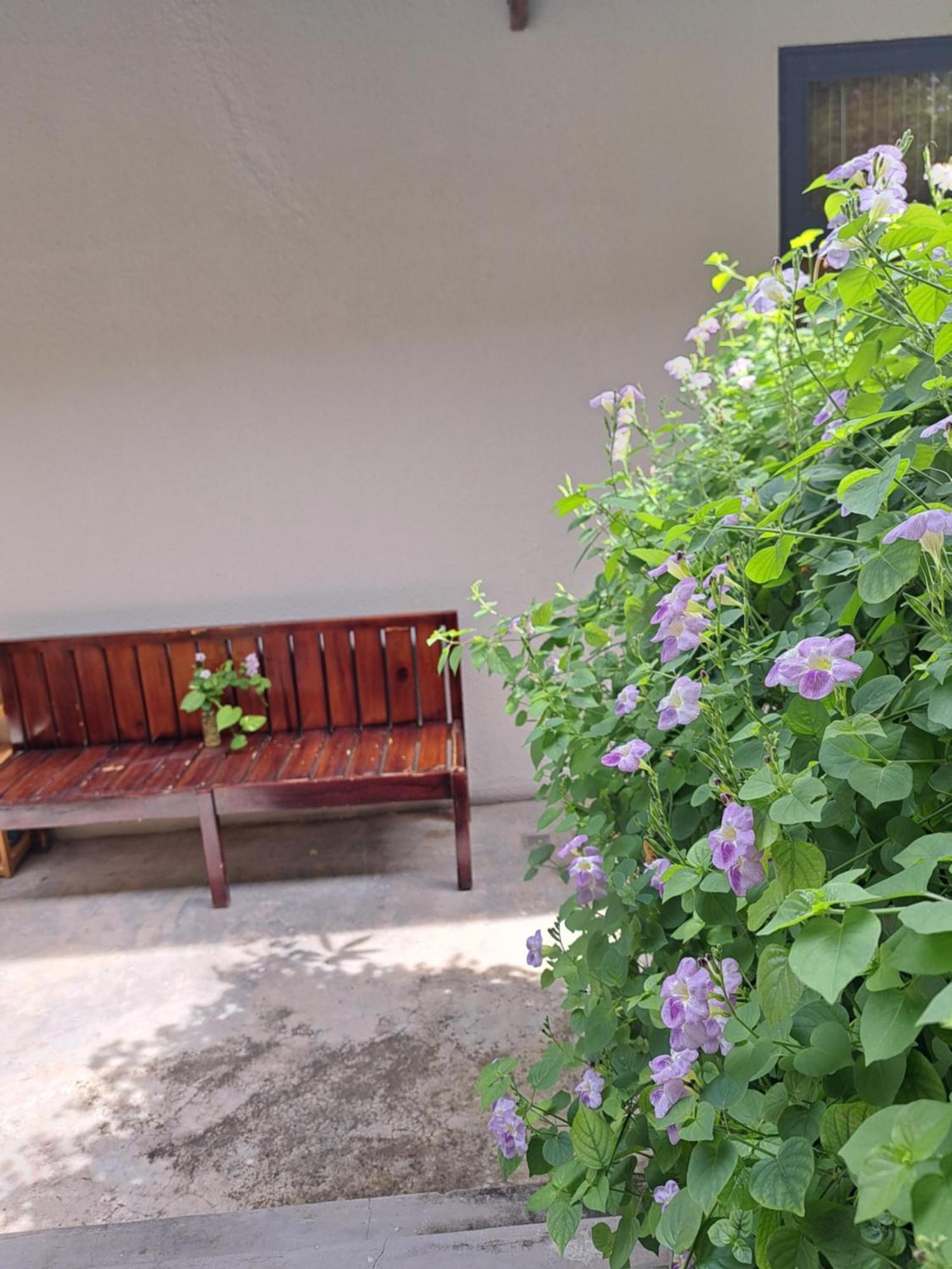 Golden Lotus Spa & Homestay Ap Thien Phuoc Eksteriør billede
