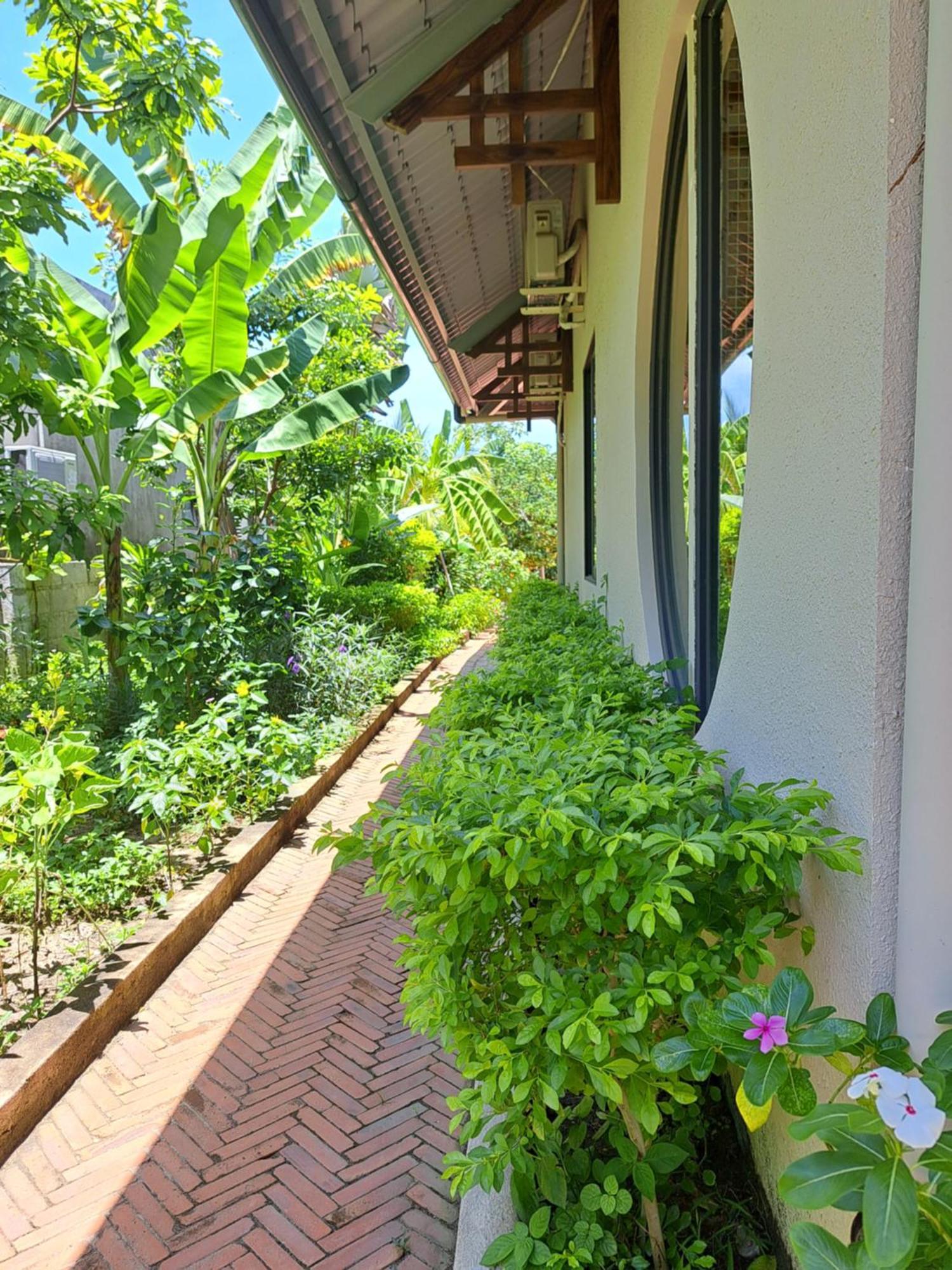 Golden Lotus Spa & Homestay Ap Thien Phuoc Eksteriør billede