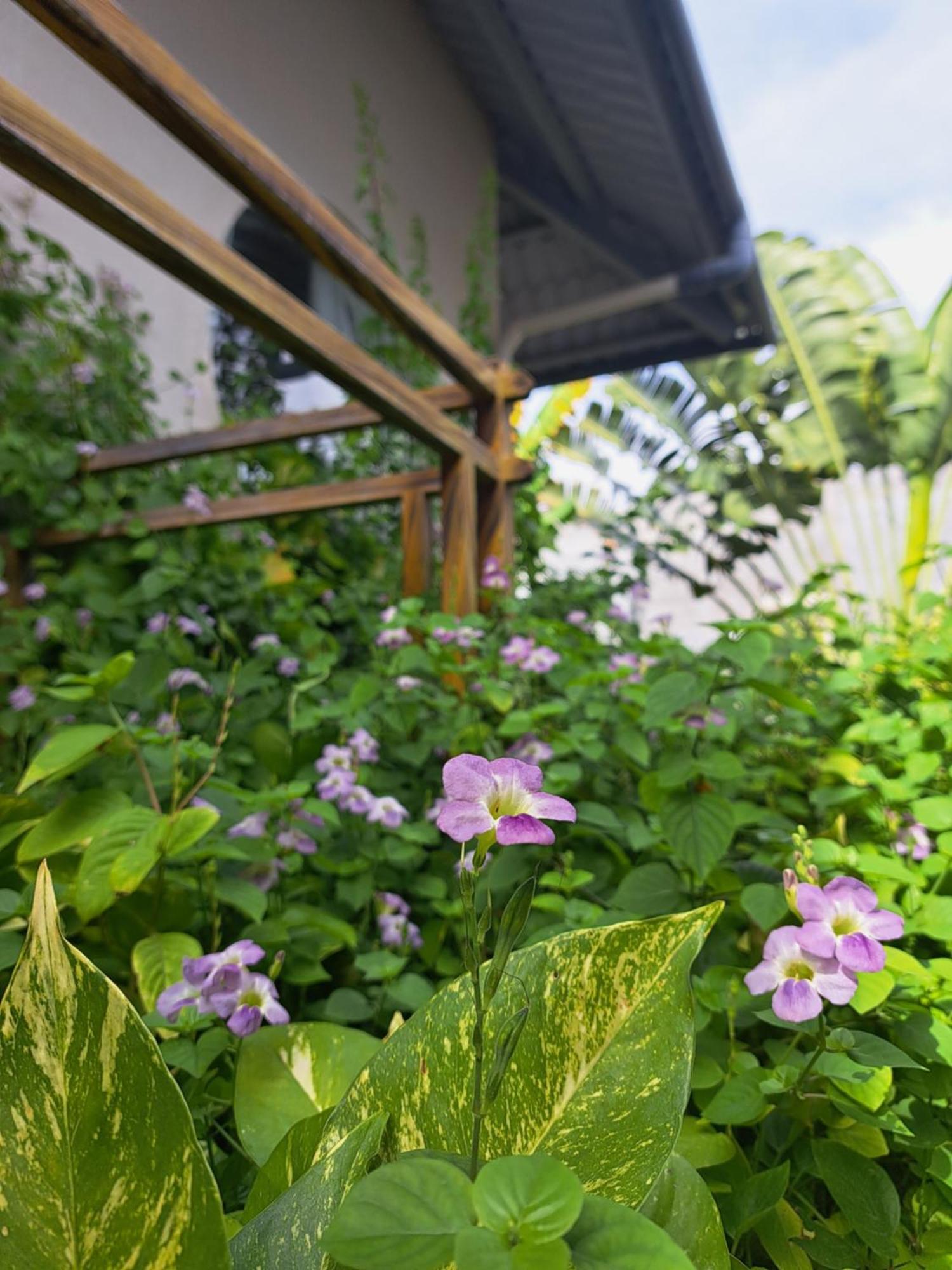 Golden Lotus Spa & Homestay Ap Thien Phuoc Eksteriør billede