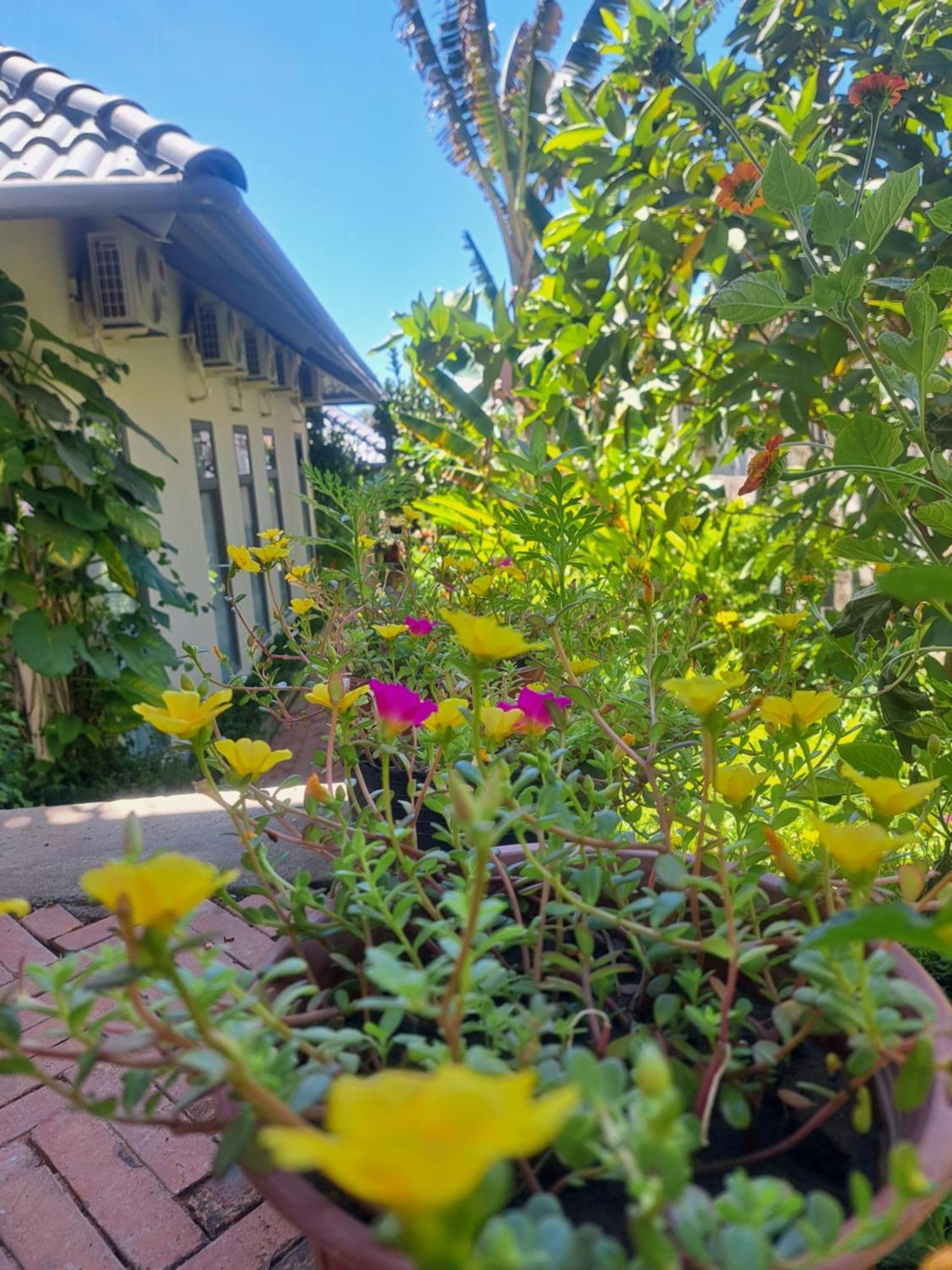 Golden Lotus Spa & Homestay Ap Thien Phuoc Eksteriør billede