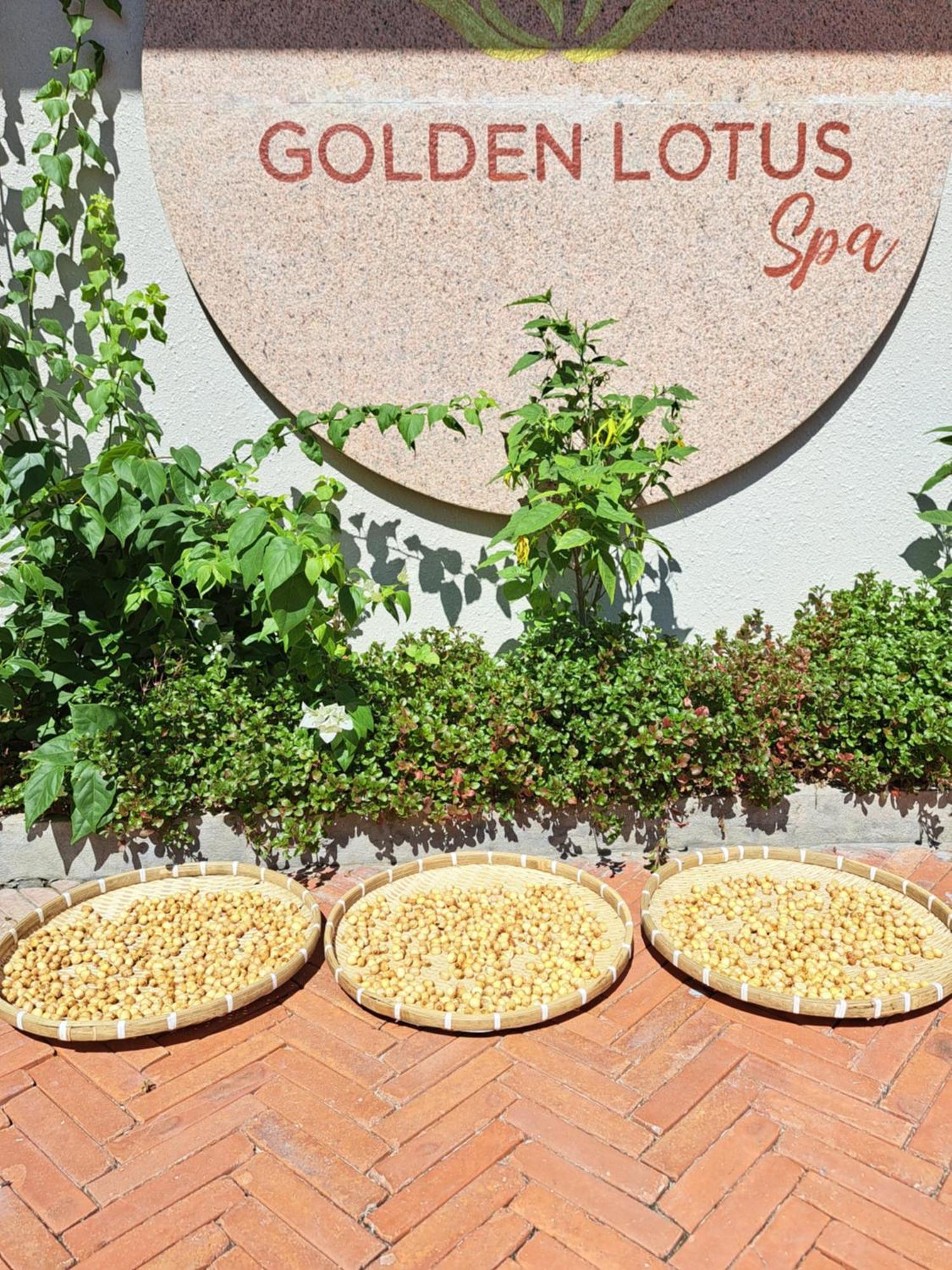 Golden Lotus Spa & Homestay Ap Thien Phuoc Eksteriør billede