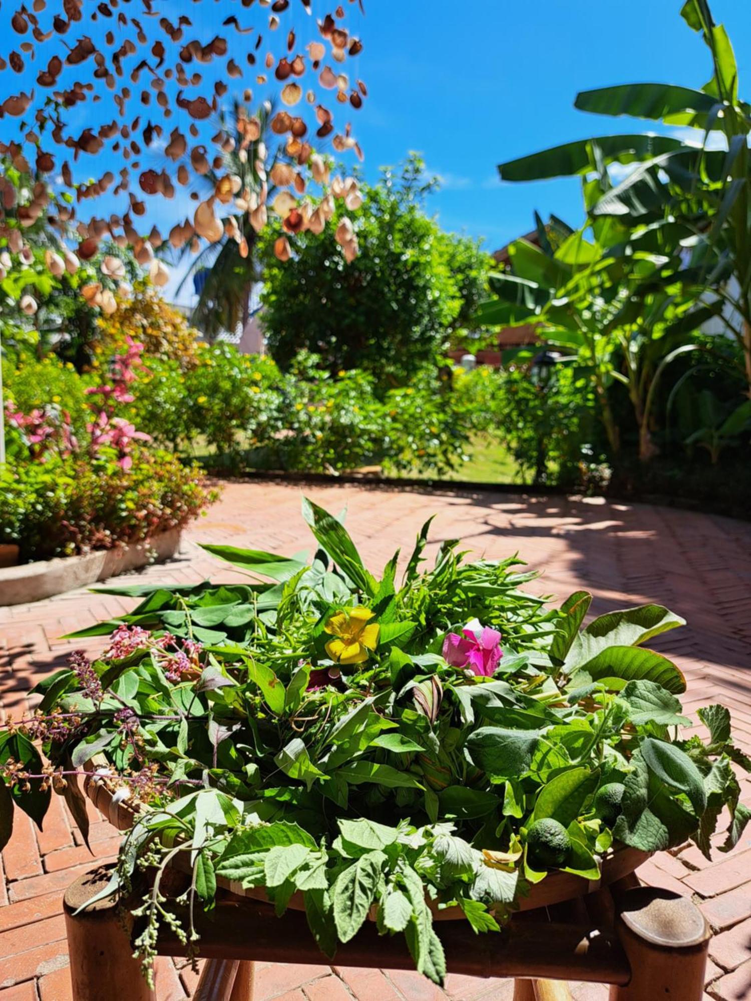 Golden Lotus Spa & Homestay Ap Thien Phuoc Eksteriør billede